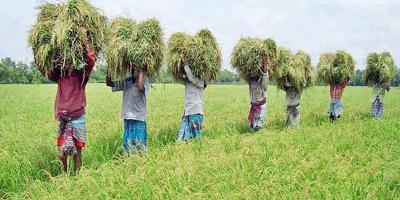 বাংলাদেশের কৃষি অধ্যায়ের ২৩টি জ্ঞানমূলক প্রশ্নোত্তর, ১ম পর্ব, এইচএসসি অর্থনীতি ২য় পত্র
